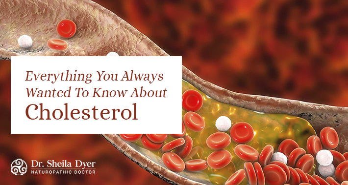 Everything You Always Wanted To Know About Cholesterol | Dr. Sheila Dyer Naturopathic Doctor | Davenport Naturopath Clinic