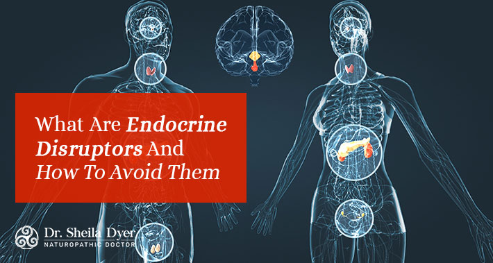 What Are Endocrine Disruptors And How To Avoid Them | Dr. Sheila Dyer Naturopathic Doctor in Toronto | Davenport Naturopath