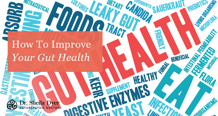 How To Improve Your Gut Health | Dr. Sheila Dyer, ND | Naturopathic Doctor in Toronto