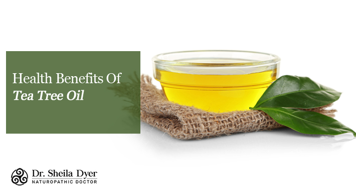 Health Benefits Of Tea Tree Oil | Dr. Sheila Dyer, ND | Toronto Naturopath