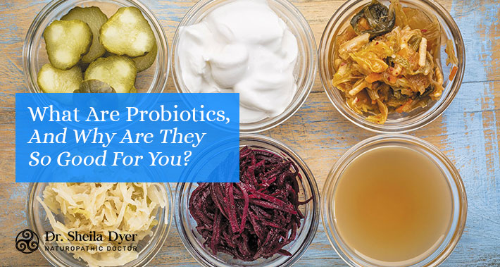 What Are Probiotics, And Why Are They So Good For You? | Dr. Sheila Dyer Naturopathic Doctor | Davenport Naturopath Clinic