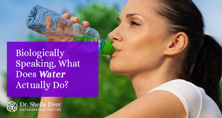 Biologically Speaking, What Does Water Actually Do? | Dr. Sheila Dyer Naturopathic Doctor in Toronto | Yorkville Naturopath