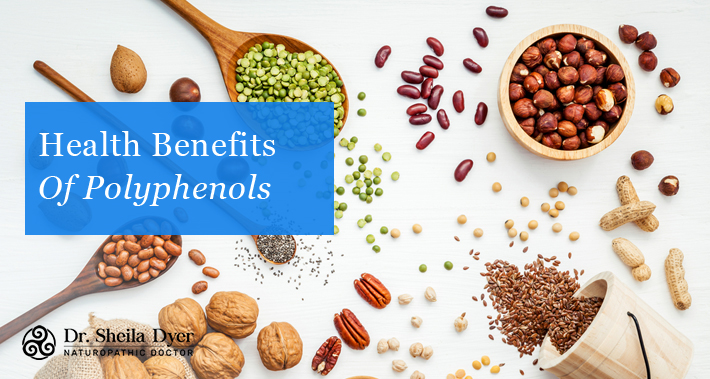 Health Benefits Of Polyphenols | Dr. Sheila Dyer, ND | Naturopathic Doctor in Toronto