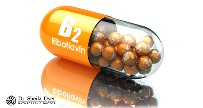 dietary sources of vitamin B2 riboflavin | Dr. Sheila Dyer, ND | Naturopathic Doctor in Toronto