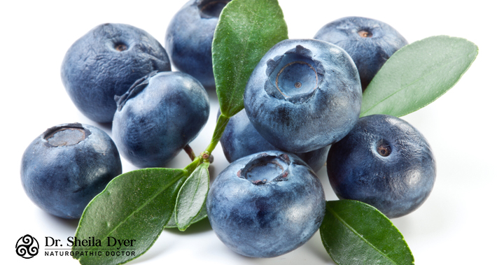 blueberries and other foods rich in antioxidants | Dr. Sheila Dyer, ND | Toronto Naturopath