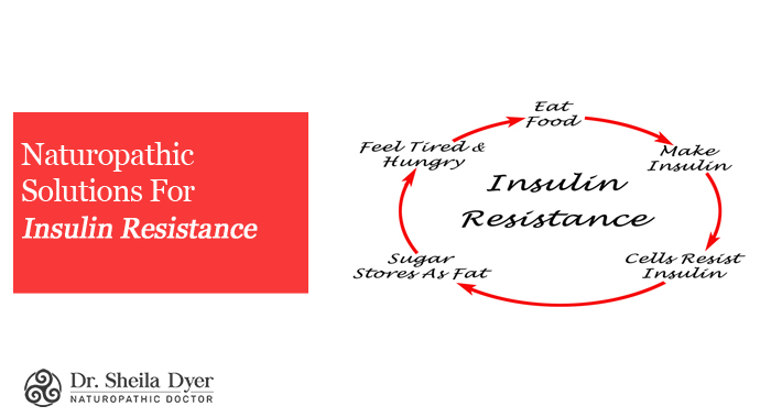 Naturopathic Solutions For Insulin Resistance | Dr. Sheila Dyer, ND | Toronto Naturopath