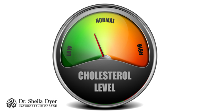 Vitamin B5 Helps Regulate Cholesterol Levels | Dr. Sheila Dyer, ND | Toronto Naturopath