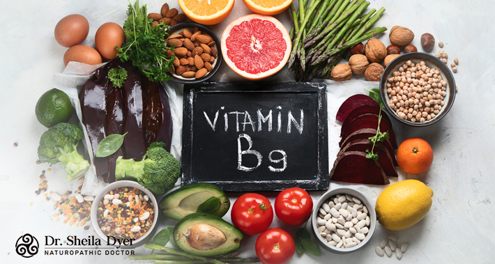 Vitamin B9 is important for several different functions in your body | Dr. Sheila Dyer, ND | Toronto Naturopath